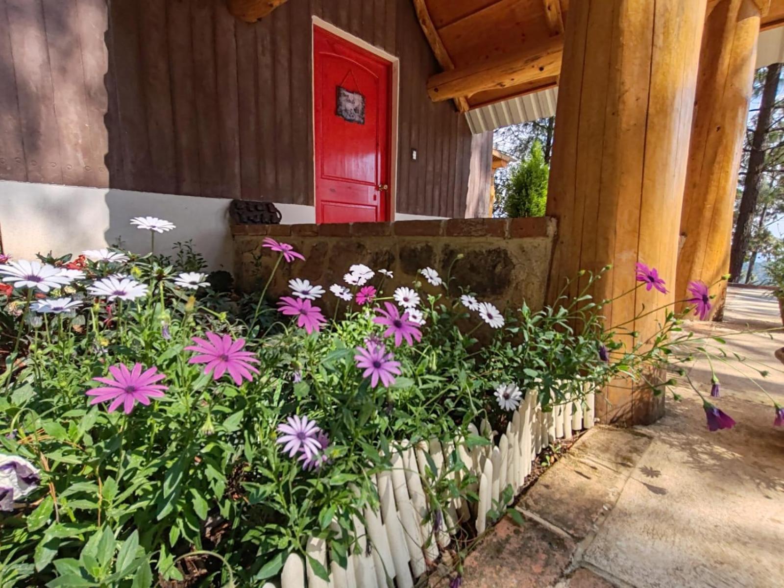 Finca Chuchiya Cabanas Tecpan Tecpán Guatemala Zewnętrze zdjęcie